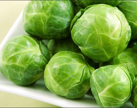 brussel sprouts 1 kg
