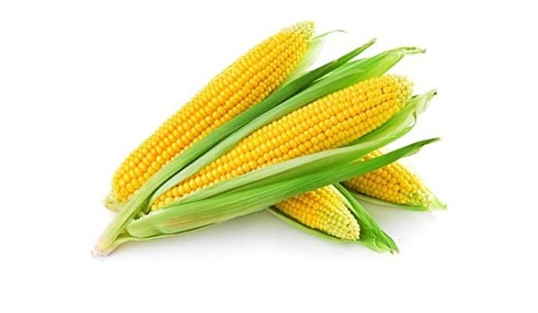corn 1 kg