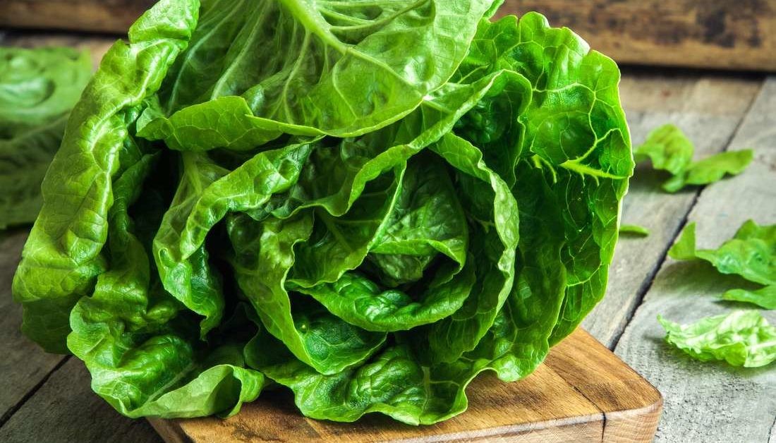 lettuce 1 kg